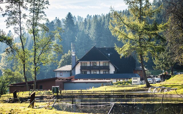 Blick von den Fischteichen auf die Tannenmühle