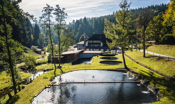 Blick über die Fischteiche auf die Tannenmühle